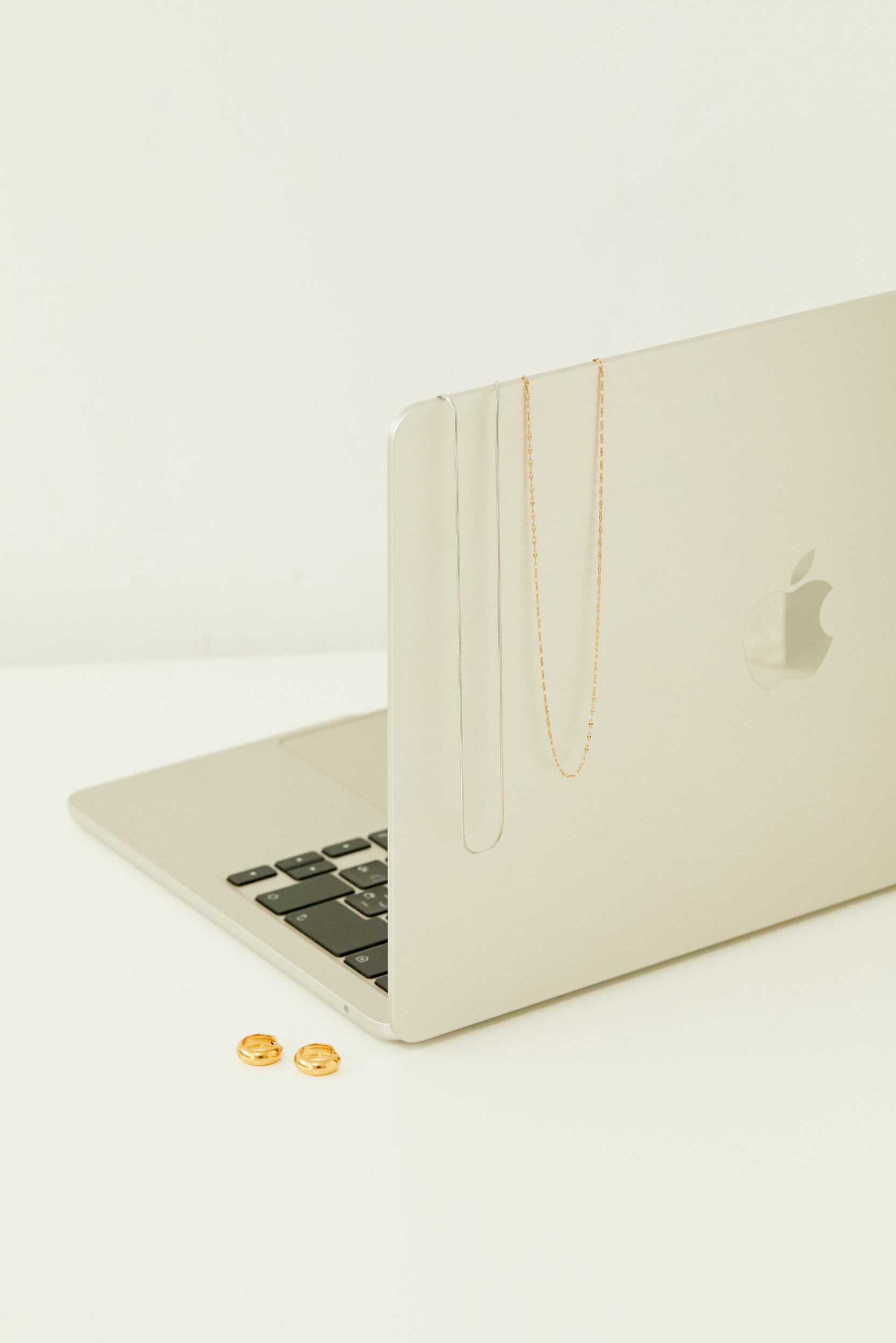 Snake Necklace［GD/SV］